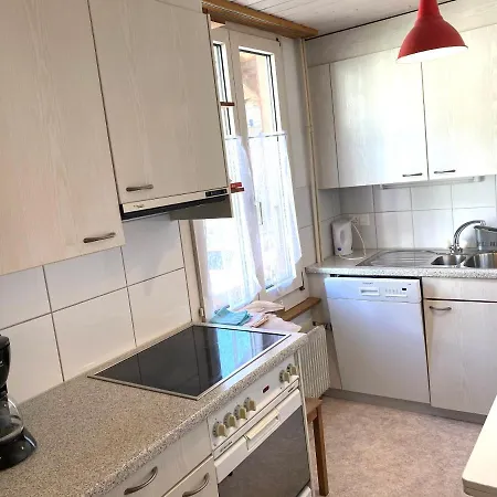 Brienzersee - Direct View *