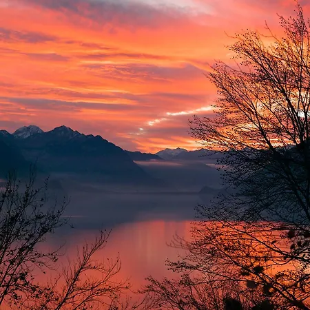 Brienzersee - Direct View Brienz (Bern)