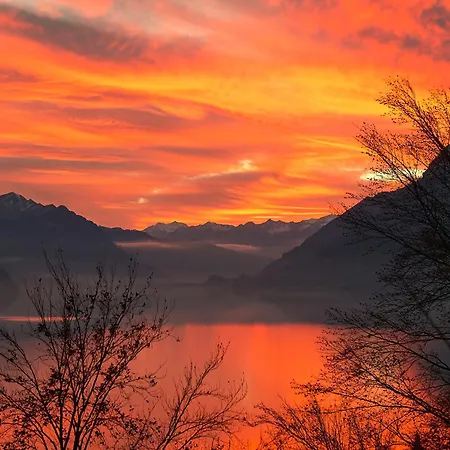 Apartment Brienzersee - Direct View