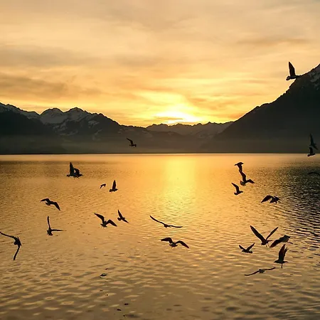 Appartamento Brienzersee - Direct View *