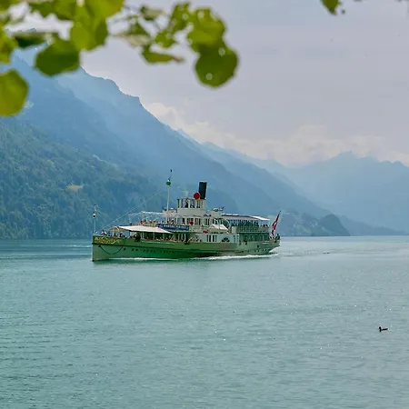 Brienzersee - Direct View *