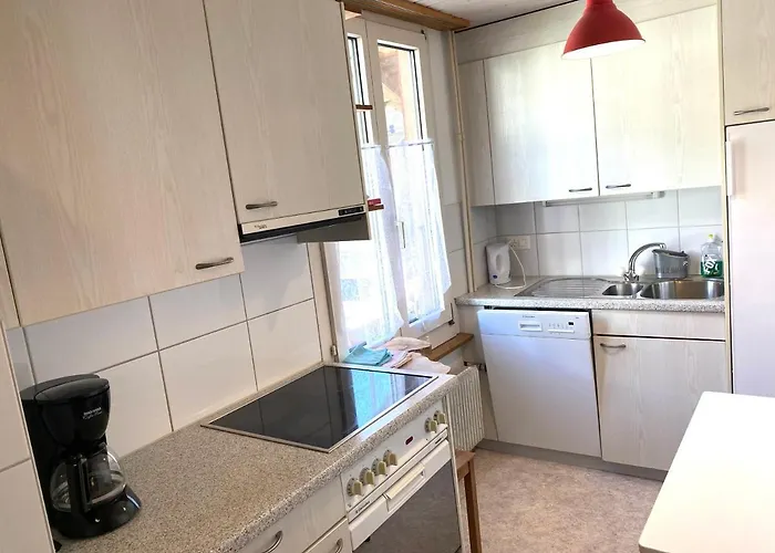 Brienzersee - Direct View *