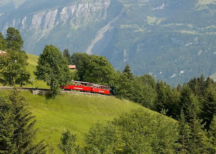 Brienzersee - Direct View * Brienz (Bern)