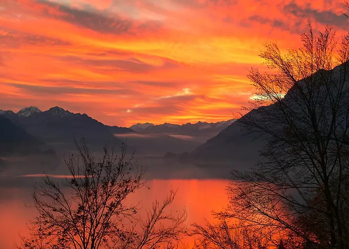 Lejlighed Brienzersee - Direct View
