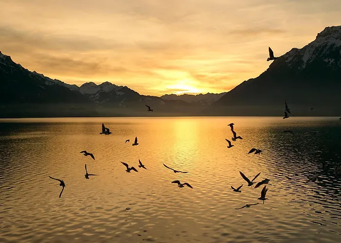 Lejlighed Brienzersee - Direct View *