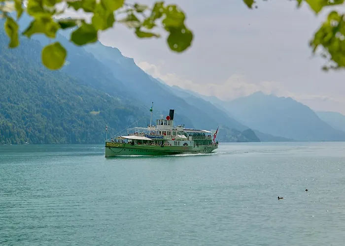 Brienzersee - Direct View *